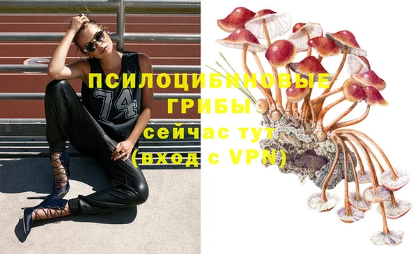 марки nbome Алзамай
