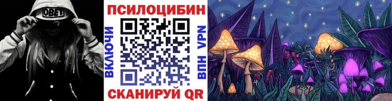 купить наркотик  Каменск-Уральский  Псилоцибиновые грибы Magic Shrooms 